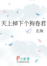 [ͬ] ϵ¸