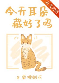 Сè����ʲô������